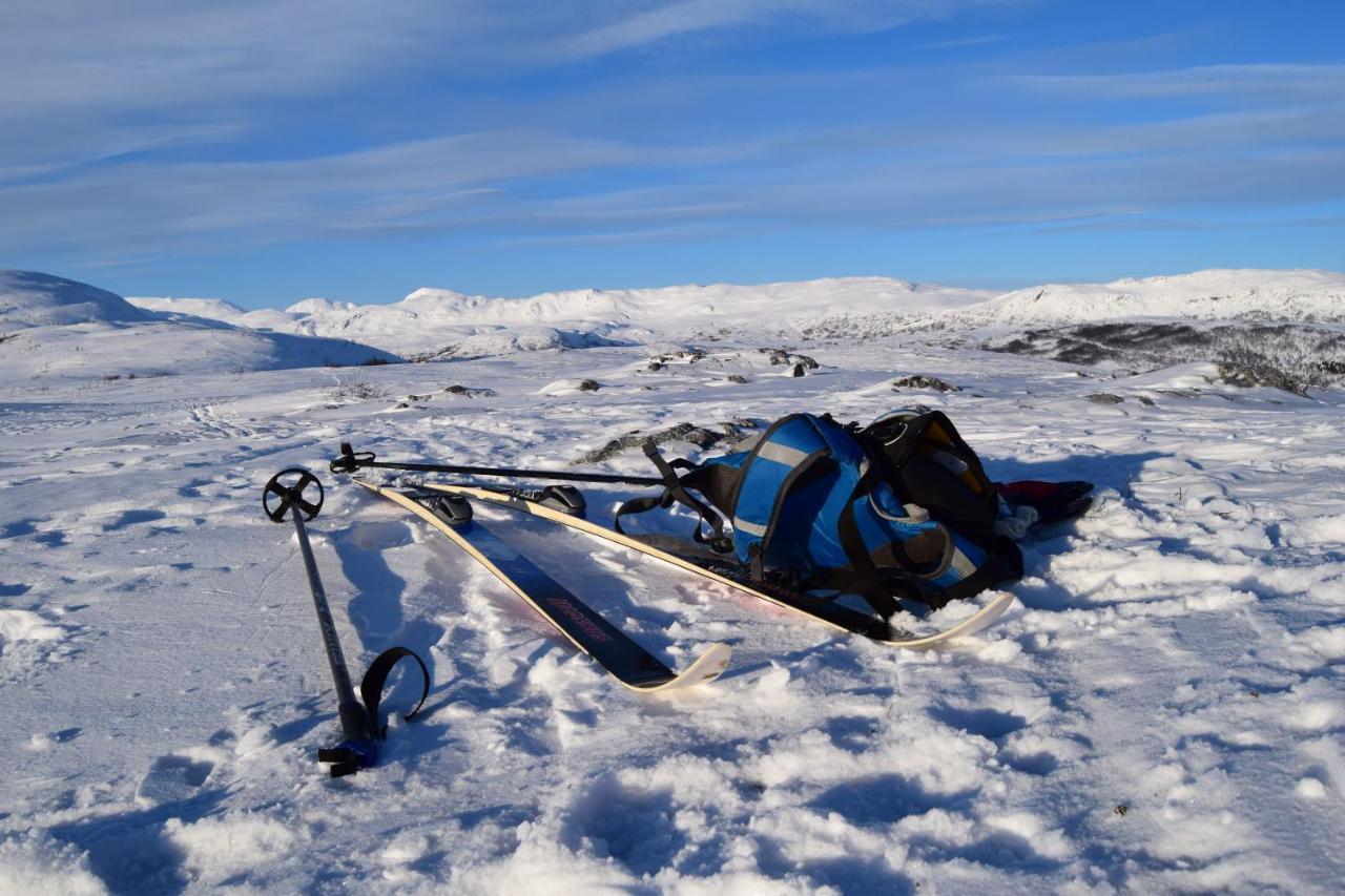 Skagi Bed & Lodge Skaland Eksteriør billede